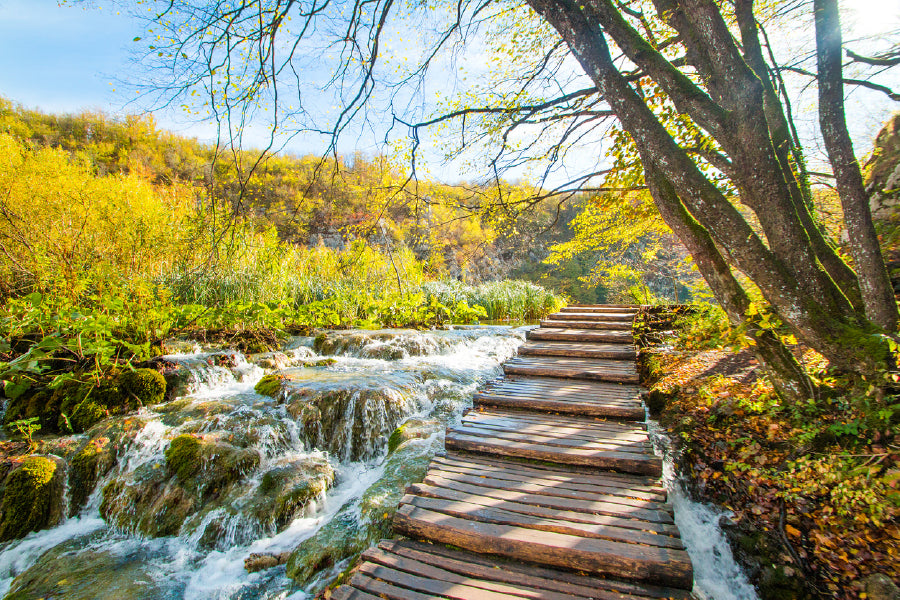 Wooden Pier & Waterfall in Forest Print 100% Australian Made Stretched Canvas Ready to Hang - NT-108