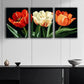 3pcs Three Tulips Metal Print Ready to Hang Art