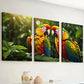3pcs Close-Up Images of Parrot Bird Parrot Wall Art Set Canvas Framed 40x60cm - High Quality Print 100% Australian Made Wall Canvas Ready to Hang