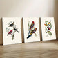 3pcs Watercolor Style Bird & Tropical Animal Design Metal Print Ready to Hang Art