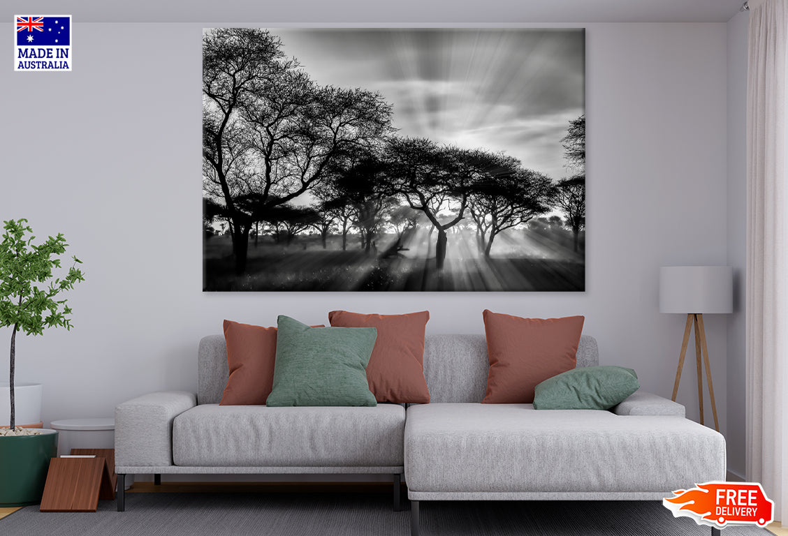 Greyscale Shot With Trees During Sunset Print 100% Australian Made Stretched Canvas Ready to Hang - BW-109