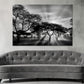 Greyscale Shot With Trees During Sunset Print 100% Australian Made Stretched Canvas Ready to Hang - BW-109