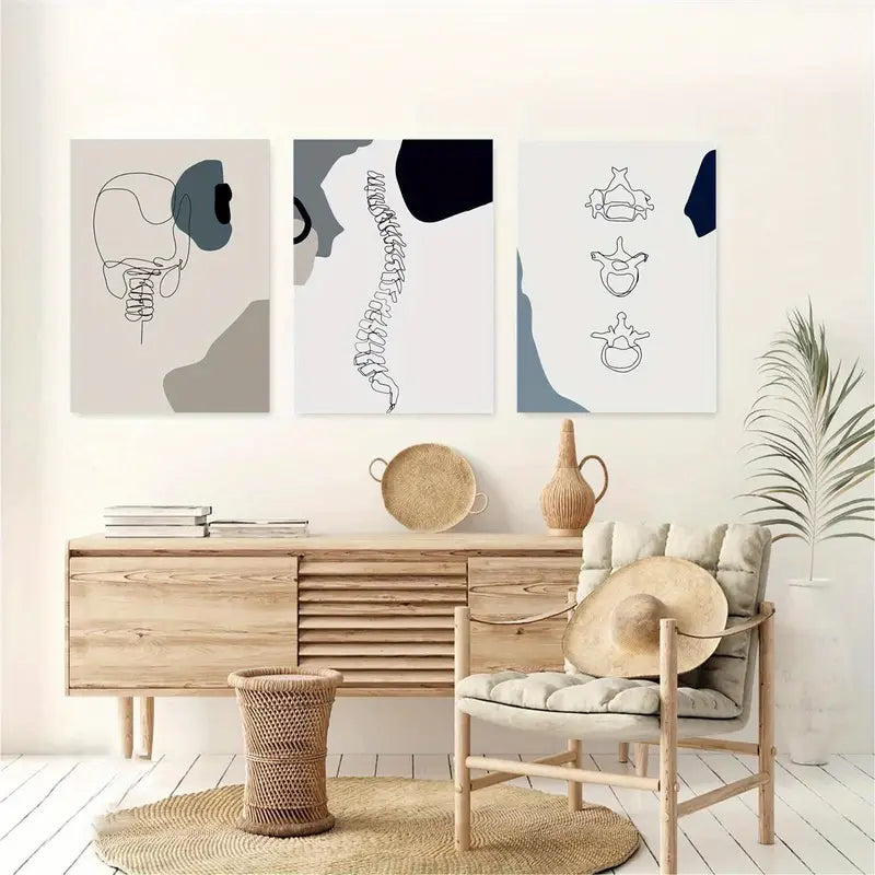 3pcs Cartoon Vertebrae & Spine Classic Anatomy Metal Print Ready to Hang Art