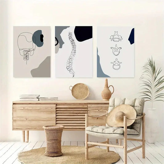3pcs Cartoon Vertebrae & Spine Classic Anatomy Metal Print Ready to Hang Art