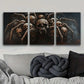 3pcs Spider and Skull Design Metal Print Ready to Hang Art