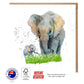 Elephant & Baby Watercolor Greeting Card - The Creatures Set - 10 Pcs