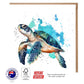 Turtle & Blue Watercolor Greeting Card - The Creatures Set - 10 Pcs