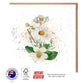 Matilija Poppy Flower Greeting Card - The Floral Set - 10 Pcs