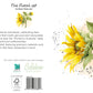 Sunflower Watercolor Greeting Card - The Floral Set - 10 Pcs