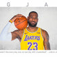 LeBron James Basketball Panorama Stretched Canvas Wall Art wall art