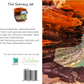 Murchison River Kalbarri Park Australia Greeting Card - The Scenery Set - 10 Pcs