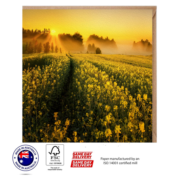 Sunrise on a Canola Field Australia Greeting Card - The Scenery Set - 10 Pcs