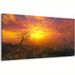 Scenic Dawn Scenery Sunset Lone Tree Desert Wall Art canvas office home room framed 120x60cm