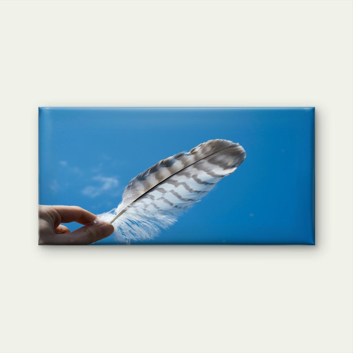 Feather Against Blue Sky Wall Art Canvas Office Home Room Framed 80x45cm