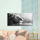 Black & White Majestic Lion Wall Art Canvas Office Home Room Framed 120x60cm