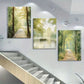 3pcs Tranquil Nature Scenes with Gentle Sunlight Calm Pathways Metal Print Ready to Hang Art