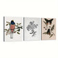 3pcs  Bird, Nature Vintage Style Plants Animal, Butterflies Dancing Metal Print Ready to Hang Art