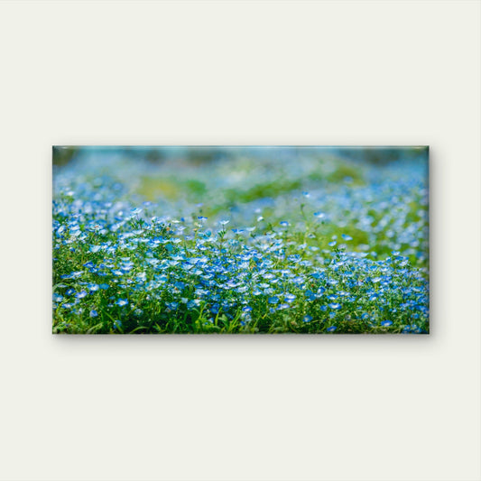 Field Of Baby Blue Eyes Wall Art Canvas Office Home Room Framed 80x45cm