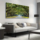 Green Oak Forest Big Trees Blue Sky Wall Art canvas office home room framed 120x60cm
