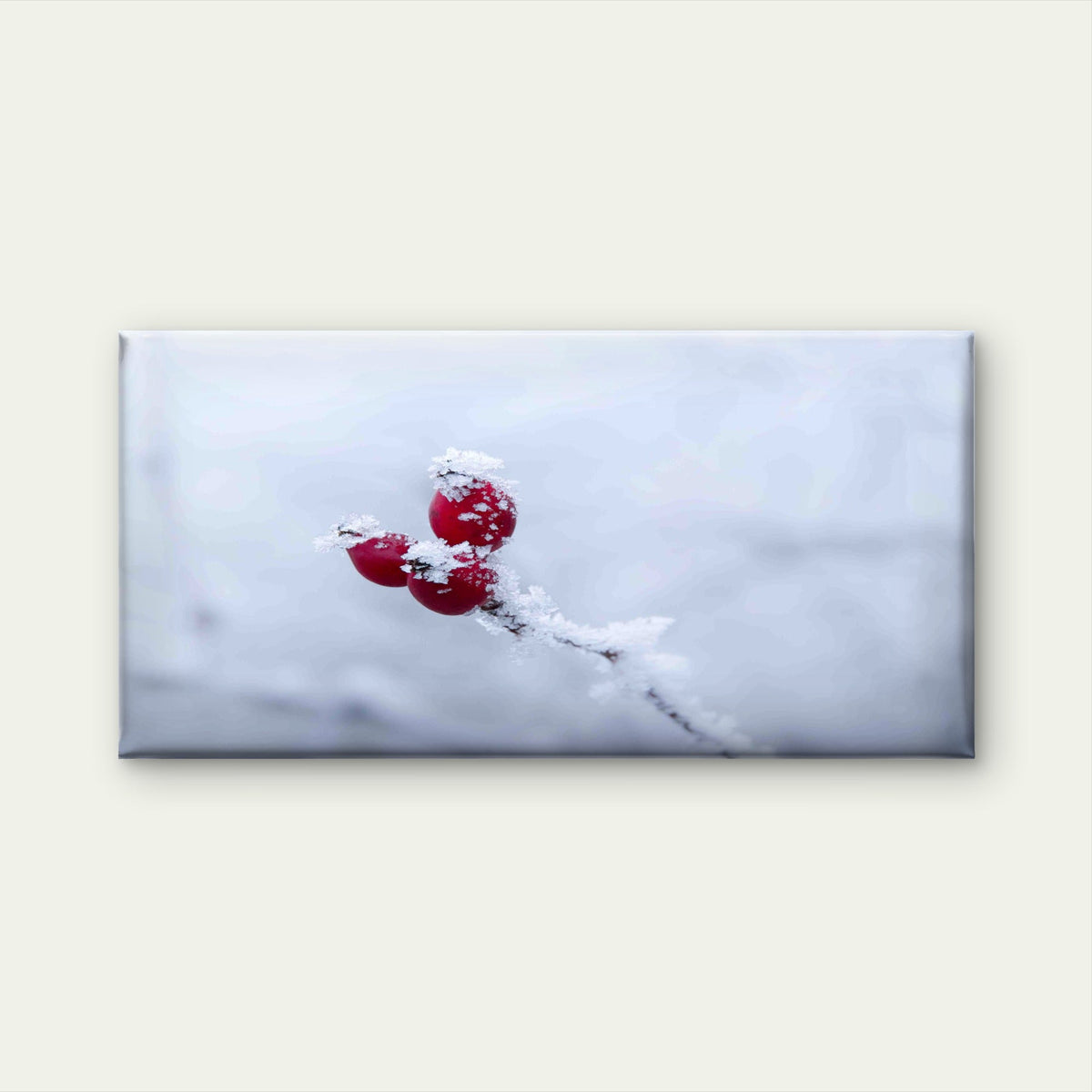 Frozen Red CWall Art Canvas Office Home Room Framed 80x45cm