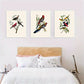 3pcs Watercolor Style Bird & Tropical Animal Design Metal Print Ready to Hang Art