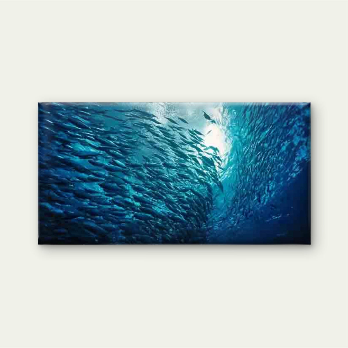 Oceanic Schooling Theme Wall Art Canvas Office Home Room Framed 80x45cm