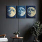 3pcs Craters of the Moon Metal Print Ready to Hang Art
