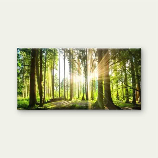Sunlit Green Forest Landscape Wall Art Canvas Office Home Room Framed 80x45cm
