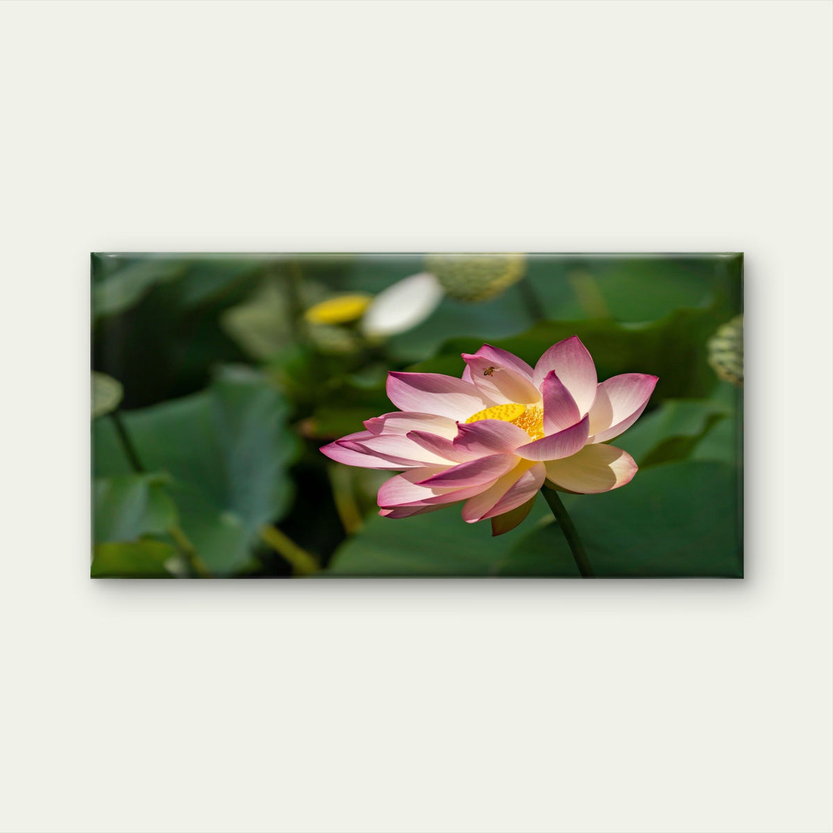 Pink Lotus Flower Bloom Wall Art Canvas Office Home Room Framed 120x60cm