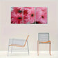 3pcs Pink Daisy Flower Floral Abstract Design Metal Print Ready to Hang Art
