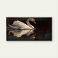 Featuring a White Swan Wall Art Canvas Office Home Room Framed 80x45cm
