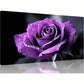 Vibrant Purple Rose Dewdrops Wall Art canvas office home room framed 120x60cm