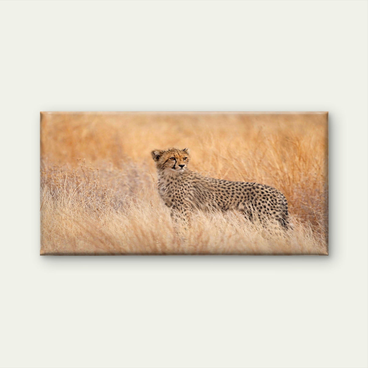 Spotted Wild Cat in Golden FieldWall Art Canvas Office Home Room Framed 120x60cm