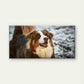 Red Tri Australian Shepherd Dog Wall Art Canvas Office Home Room Framed 120x60cm