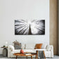 Low Angle View Of Trees Wall Art Canvas Office Home Room Framed 120x60cm
