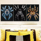 3pcs Tarantula Metal Print Ready to Hang Art