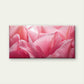 Macro Pink Tulip Petals Wall Art Canvas Office Home Room Framed 120x60cm