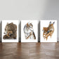3pcs Grizzly Bear, Wolf, Deer, Minimalism, Wildlife Metal Print Ready to Hang Art
