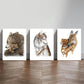 3pcs Grizzly Bear, Wolf, Deer, Minimalism, Wildlife Metal Print Ready to Hang Art