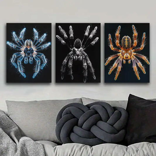 3pcs Tarantula Metal Print Ready to Hang Art