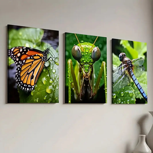 3pcs Nature Creatures Close-Up Animal Art Wall Art Set Canvas Framed 40x60cm - High Quality Print 100% Australian Made Wall Canvas Ready to Hang