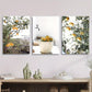3pcs Botanical Fruit Lemon Vintage Classic Design Metal Print Ready to Hang Art