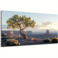 Dawn Desert Tree & Distant Rock Formations Wall Art canvas office home room framed 120x60cm