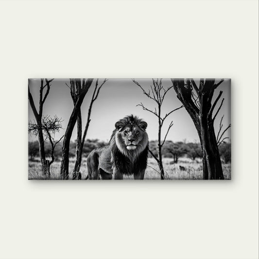 Abstract Black White Lion Safari Wall Art Canvas Office Home Framed 80x45cm