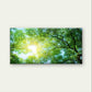 Green Forest Canopy Sunbeam Tree Wall Art Canvas Office Home Framed 120x60cm