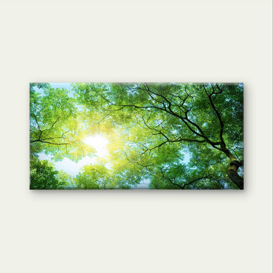 Green Forest Canopy Sunbeam Tree Wall Art Canvas Office Home Framed 80x45cm