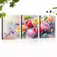 3pcs Modern Farmhouse Style Colorful Flowers Wall Art Set Canvas Framed 40x60cm - High Quality Print 100% Australian Made Wall Canvas Ready to Hang