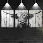 3pcs Friendly Vintage Style Highland Cattle Wall Art Set Canvas Framed 40x60cm - High Quality Print 100% Australian Made Wall Canvas Ready to Hang