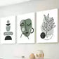 3pcs Minimalist Monochrome Botanical design Wall Art Set Canvas Framed 40x60cm - High Quality Print 100% Australian Made Wall Canvas Ready to Hang
