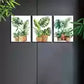 3pcs Modern Nordic Style Indoor plants Wall Art Set Canvas Framed 40x60cm - High Quality Print 100% Australian Made Wall Canvas Ready to Hang